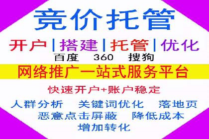专业SEM代运营推广公司成功案例分享
