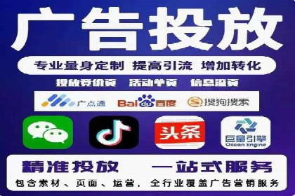短视频信息流营销实战：小红书的成长之路